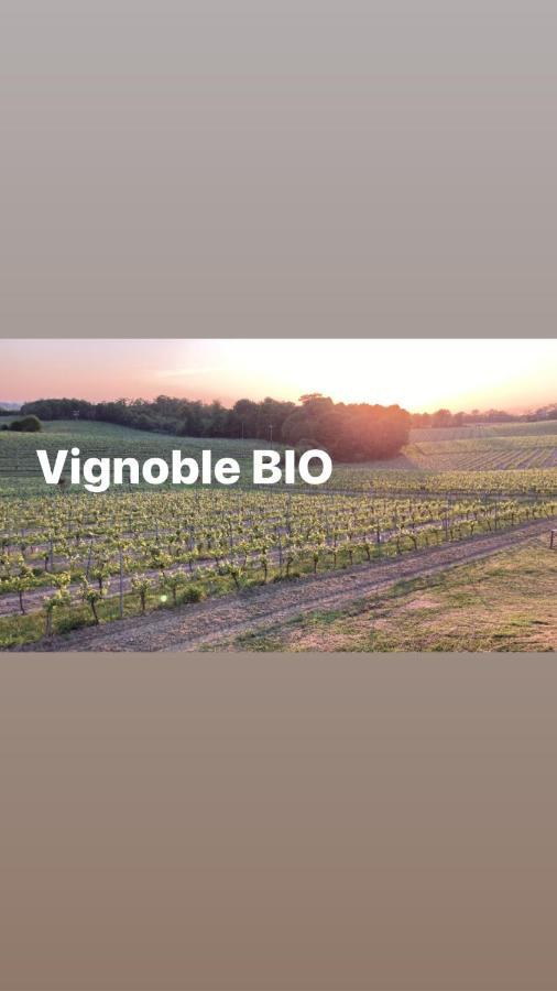 Gite Les Vignes Cravenceres Bagian luar foto