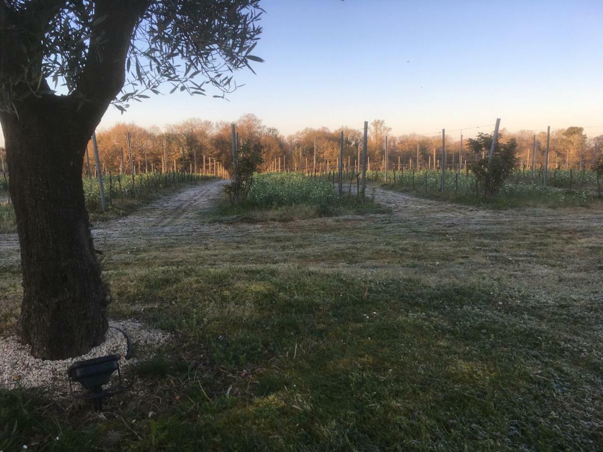 Gite Les Vignes Cravenceres Bagian luar foto